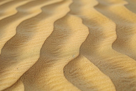 Sand dunes in the desert, close-up of ripplesの写真素材