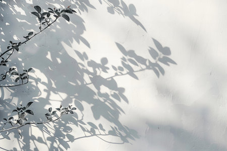 Shadow of leaves on a white wall. Monochrome style.の写真素材