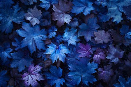 Blue autumn leaves background. Natural pattern. Flat lay, top view.の素材