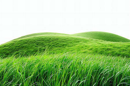 Green grass on white background. 3d rendering. Computer digital drawing.の写真素材