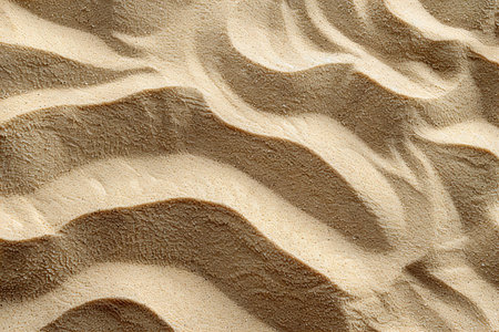 Sand texture. Sand background. Sand pattern. Sand texture. Sand backgroundの写真素材