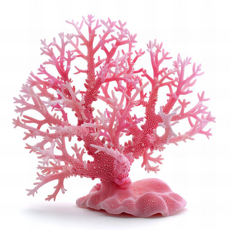 Pink coral isolated on white background. Close up. Studio shot.の写真素材