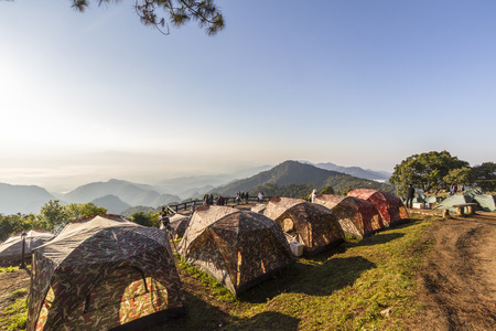 Happy sunshineのeditorial素材