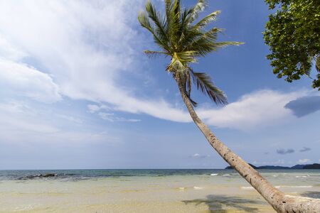 Beach scenery with blue skyの写真素材