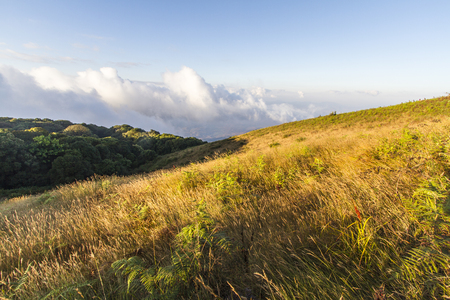Beautiful grass field on top mountainの写真素材