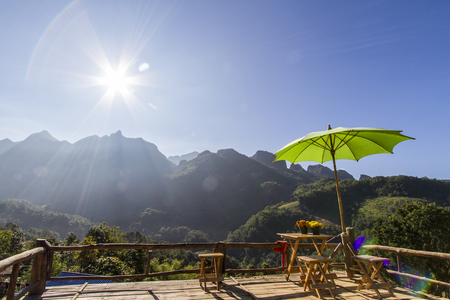 Zest and the sunshineの写真素材