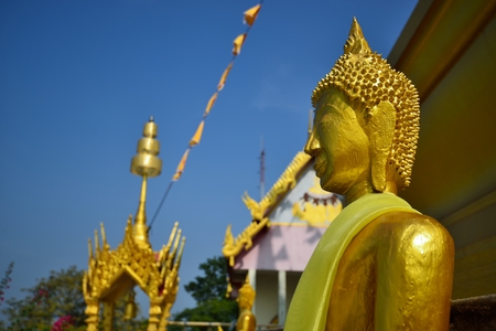 Golden buddha statue in Thailandの写真素材