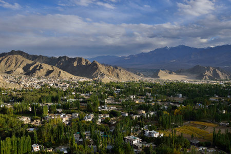 City view of Leh, Indiaの写真素材