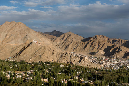 City view of Leh, Indiaの写真素材