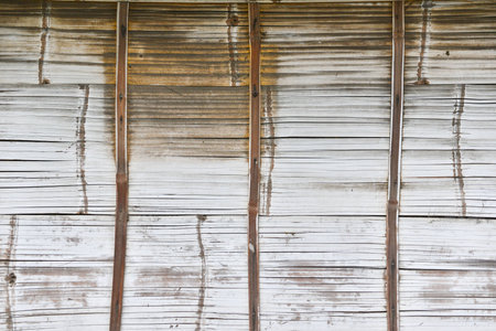 Bamboo texture for background.の写真素材