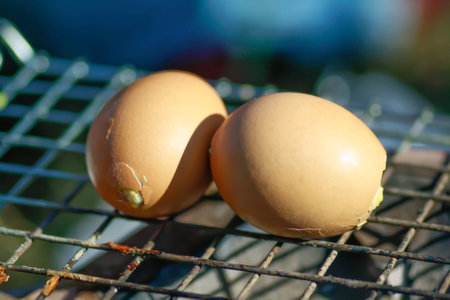 Grill eggs on gridiron at marketの写真素材