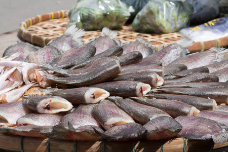 dried fish in the sunの写真素材