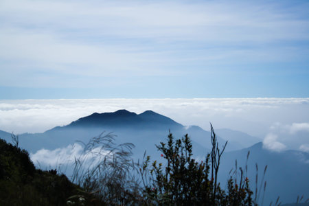 fog cover on the mountainの写真素材