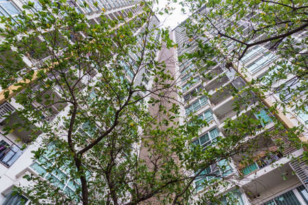 Modern residential architecture with tree in capitalの写真素材