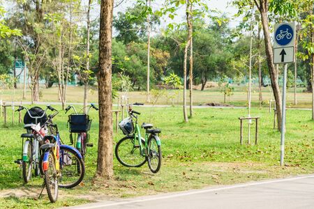 bicycle in the garden park on sunny