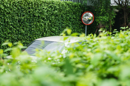 lookout at convex mirror for safety in traffic, safety mirrorの写真素材