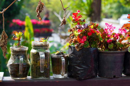 row of pink flowers in a glass jar and bagの写真素材