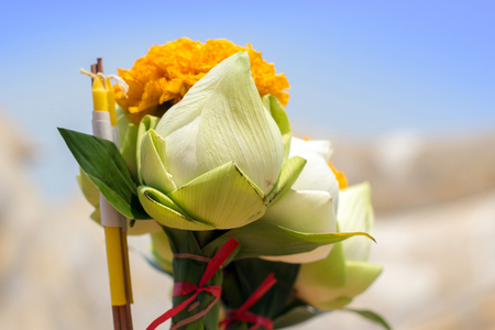 beautiful lotus flowers and incense sticks candle set for worship Buddha statueの写真素材