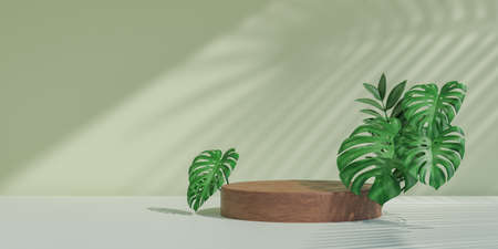 Cosmetic display product stand, Wood circle cylinder podium with green leaf background. 3D rendering illustrationの写真素材