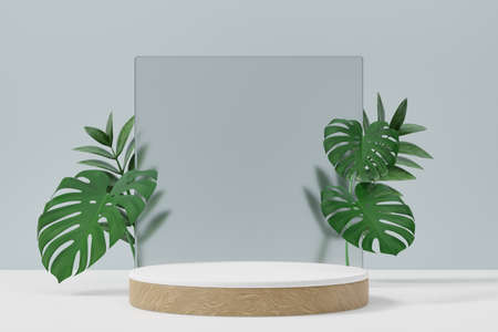 Cosmetic display product stand, Wood white cylinder podium with matte glass wall and leaf on light background. 3D rendering illustrationの写真素材