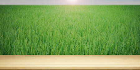 Empty wood table top and blur green farm wall for banner mock up abstract background. 3D illustration rendering.の写真素材