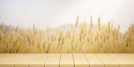 Empty wood table top and blur yellow gold paddy farm wall for banner mock up abstract background. 3D illustration rendering.の写真素材