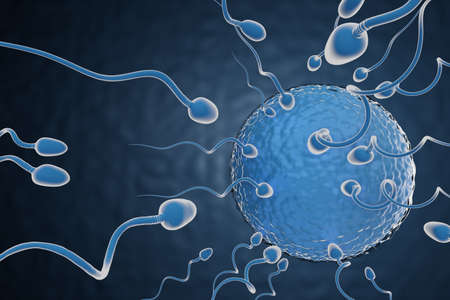 Sperm swimming towards the egg in a blue background. 3D Illustration Rendering.