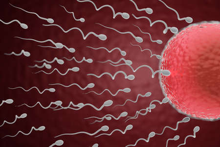 Sperm swimming towards the red egg in a dark background. 3D Illustration Rendering.