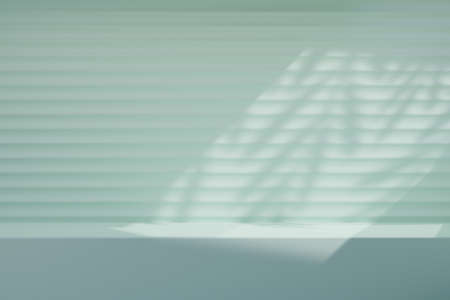 Light blue desk wall background with sunlight leaf plant. 3D Illustration rendering.