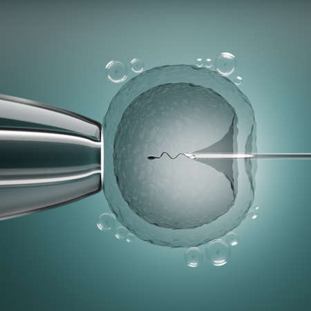 Ovum with needle for artificial insemination or in vitro fertilization with sperm. 3D Illustration...