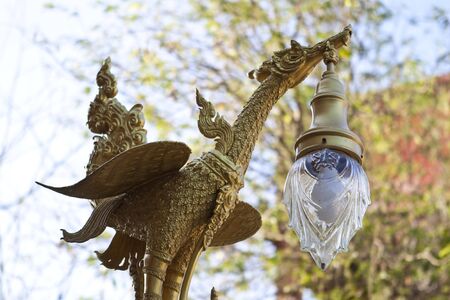 Light Swanの写真素材