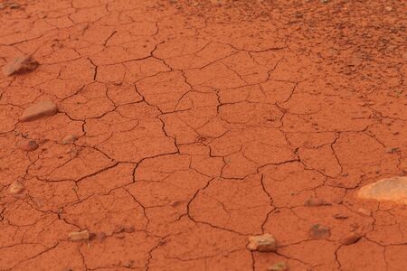 Detail of the cracked soil