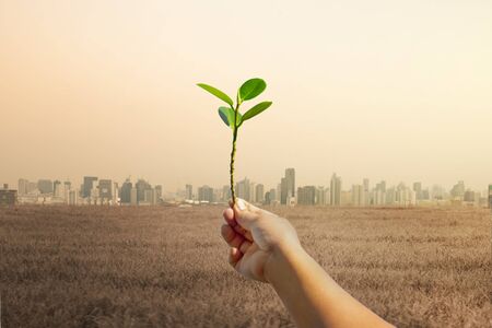 Raise hands with trees, with the background of many large building. Global warming and pollution theme .Conceptual image symbolizing  global warming leading to destroying the natural ecosystems of our planet.の写真素材
