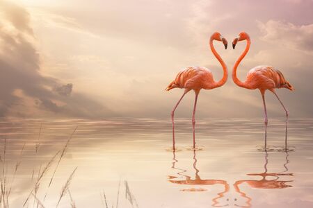 A pair of pink flamingos making a heart shape in reflection pond. Love conceptの写真素材