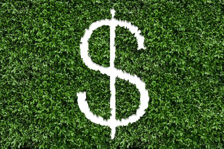 Green plant in shape of dollar sign grows at green field.の写真素材