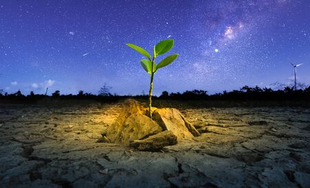 Brown drought dry land soil or cracked ground texture and green tree with from agriculture barren on star and blue sunset sky background, Global warming.の写真素材
