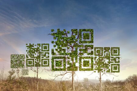 QR code tree with a symbol in the dry forest background. Technology ,Business and Nature Concept.の写真素材