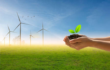 A small green tree in hand on the background of flock of birds, blue sky and green field with turbines.Green energy and nature concept.の写真素材