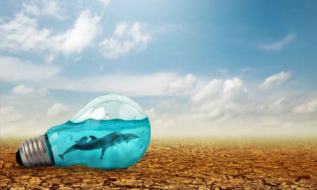 Light bulb with Dolphins swimming inside oncracked earth. Saving environment and natural conservation concept.の写真素材