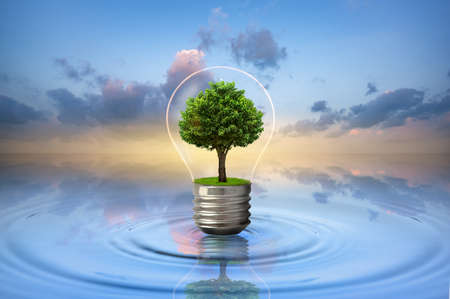 Light bulb with fresh green tree inside reflection blue sea and blue sky. Ecological and energy...
