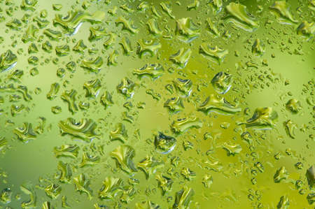 Water drop on glass window with green tree background.の写真素材