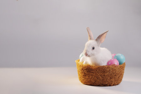 White rabbit standing in a basket with decorated eggs.Easter holiday concept.