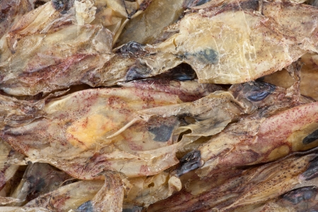 Closeup of dried squid s backgroundの写真素材