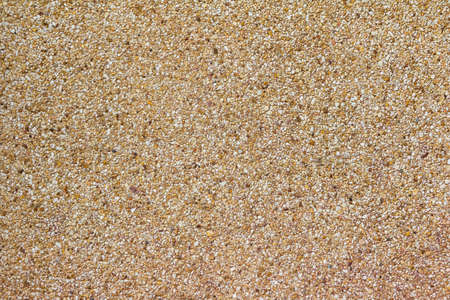 sand texture  and stone pieces Seamlessの写真素材