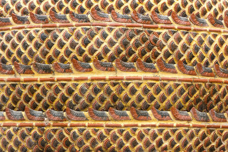 Dragon textureの写真素材