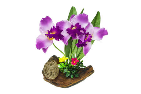 Plastic orchid on wood isolate on white backgroundの写真素材