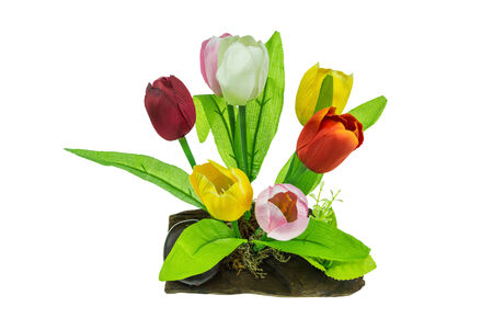 plastic tulips on wood isolate on white backgroundの写真素材