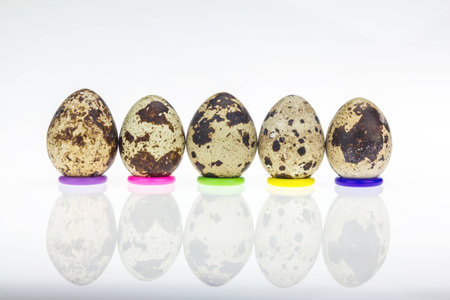 Quail eggs put on circle on white backgroundの写真素材
