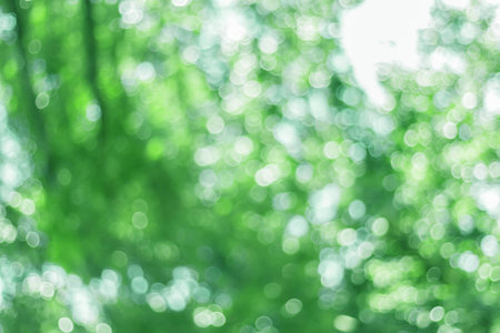 Green bokeh blurred abstract light backgroundの写真素材