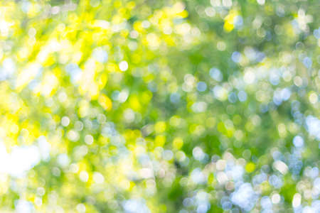 Green bokeh blurred abstract light backgroundの写真素材